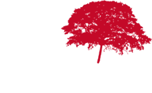 cole Artebois | bnisterie